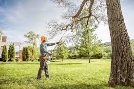 Best Hedge Trimming  in Gatlinburg, TN