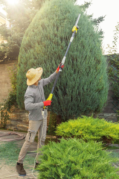 Best Leaf Removal  in Gatlinburg, TN